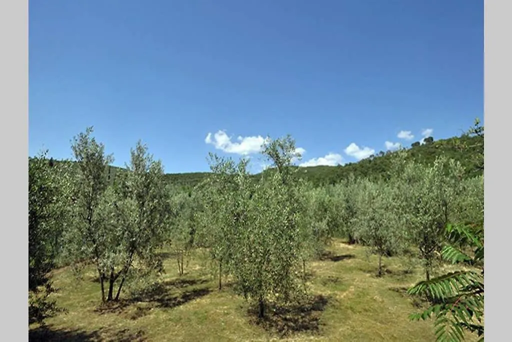 Tuscan Charme Of Cottage Roccaio Countryside Cortona Castiglion Fiorentino 0*,